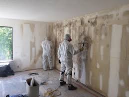 Best Comprehensive Air Testing for Mold Contaminants  in Cheboygan, MI